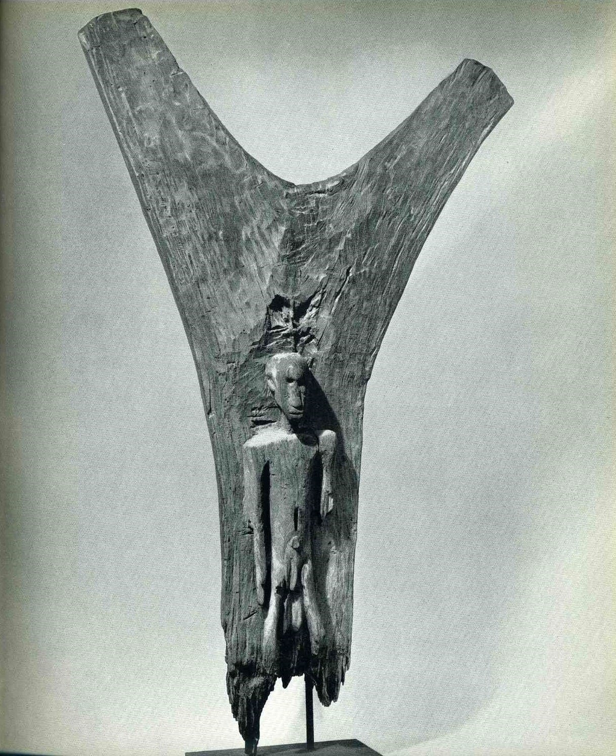 DOGON -Yoro 141cm.jpg