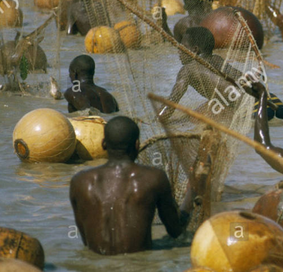 L'Afrique de l'Ouest NIGERIA Sokoto Argungu Festival de pêche Rivière climax quand les hommes avec des calebasses et filets à main attraper les poissons confinés Banque D'Images, Photo Stock  18386200 - Alamy (1).png