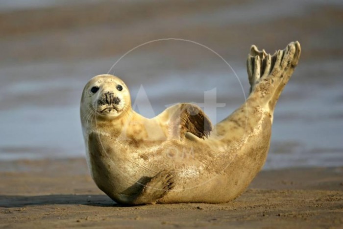 stretching à la plage.jpg