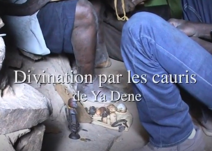 Dogon Ya Dene diviniation cauris.jpg