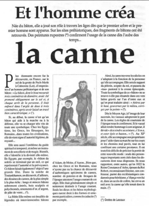 et l'homme créa la canne.jpg