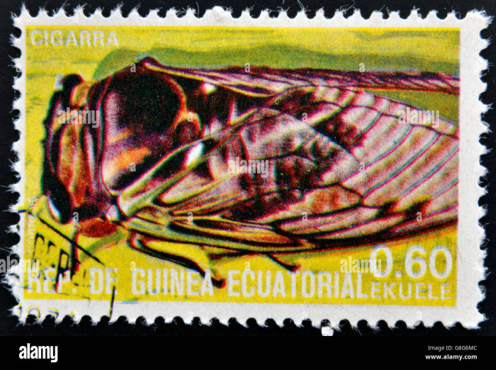 guinee-equatoriale-vers-1973-timbres-en-guinee-dedie-aux-insectes-montre-cigale-vers-1973-g8g6mc-1324206893.jpg